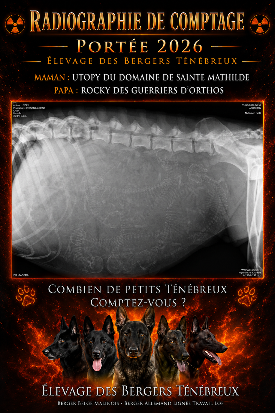 Radio de comptage